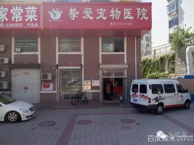 威海最全的宠物店汇总！喵奴&汪主人还不速速收藏！