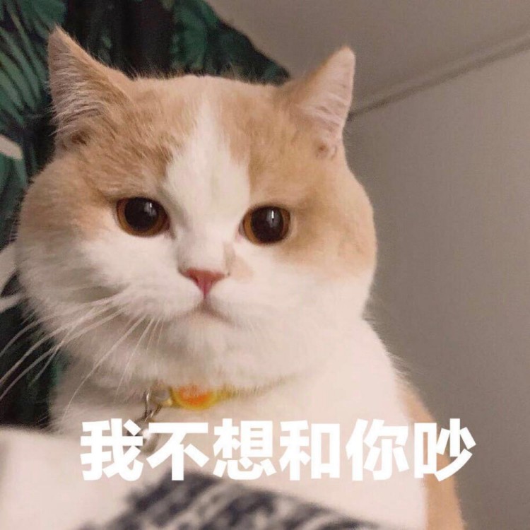 宠物猫便便特别臭怎么回事？