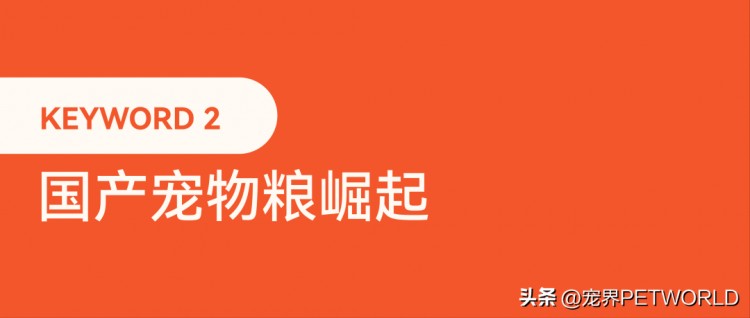 2023国内宠物行业年度关键词必看！